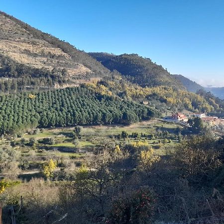 Casa 4P - Alojamento Local - Pura Paixao Por Penacova Villa Kültér fotó