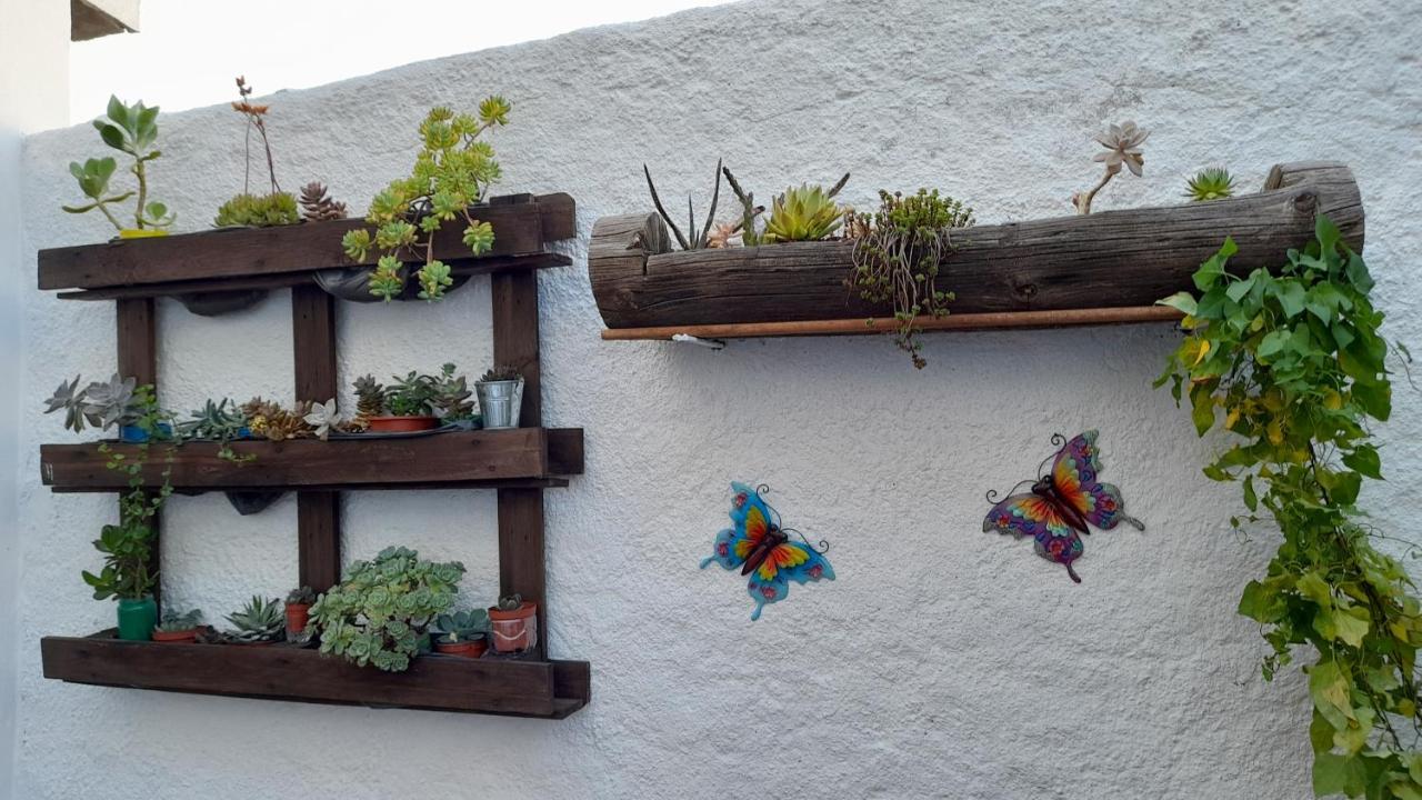Casa 4P - Alojamento Local - Pura Paixao Por Penacova Villa Kültér fotó