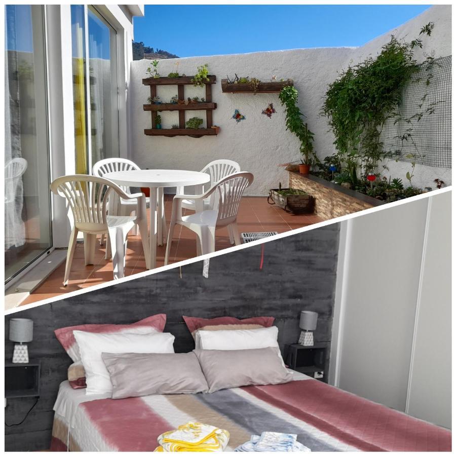 Casa 4P - Alojamento Local - Pura Paixao Por Penacova Villa Kültér fotó