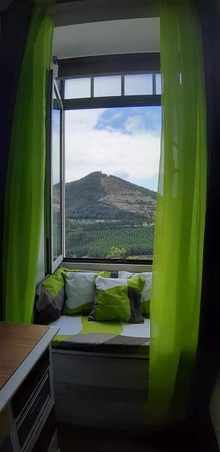 Casa 4P - Alojamento Local - Pura Paixao Por Penacova Villa Kültér fotó