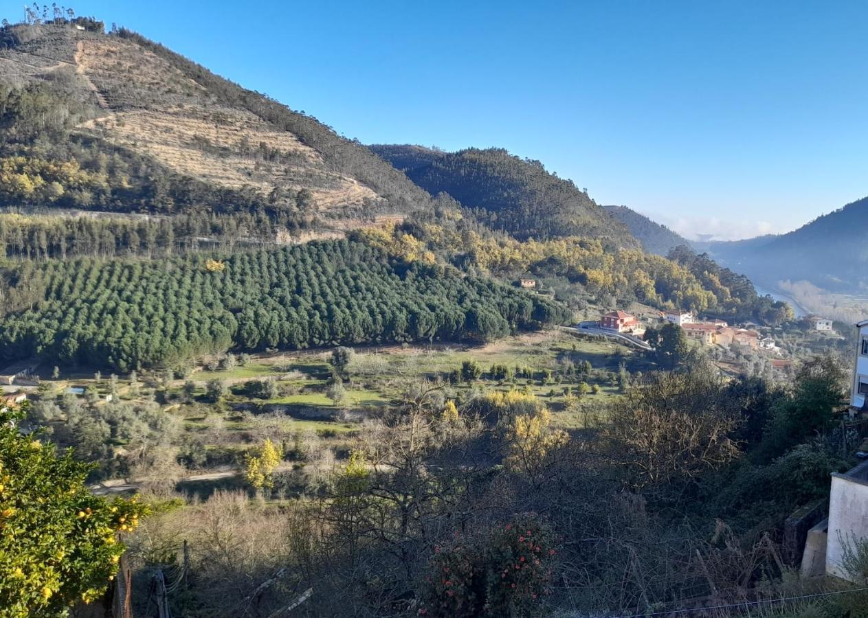 Casa 4P - Alojamento Local - Pura Paixao Por Penacova Villa Kültér fotó
